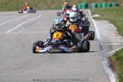 20110501_ales_agnus (2191)